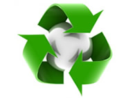 Environmental Impact